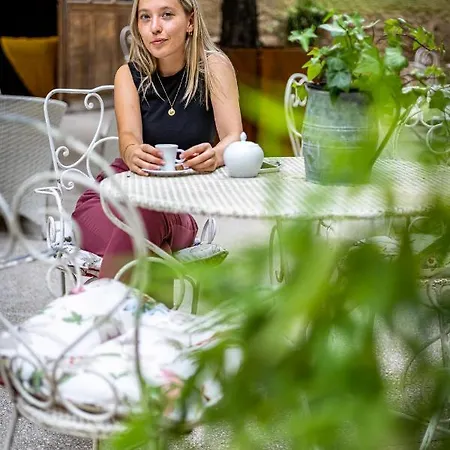 Les Remparts Et Demeures Historiques Hotel Beaune (Cote d'Or)